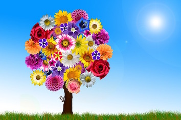 arbre fleur